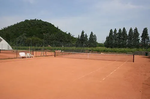 Hotel Commodore Terme